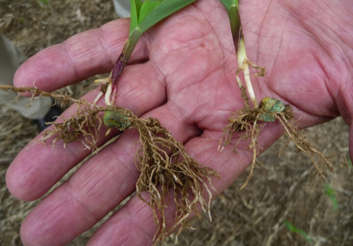 Gary-Coughlin