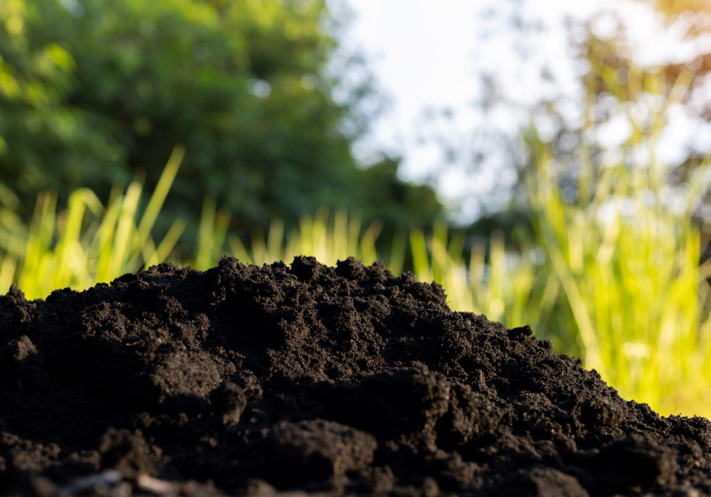 Soil and black husks to prepare for planting